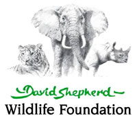 dswf logo 200px