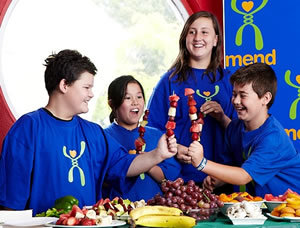 mend_image1